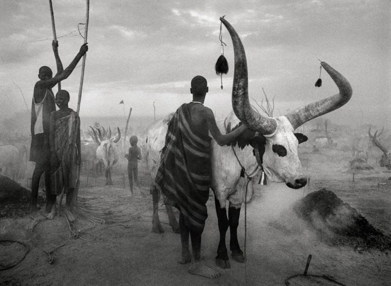 sebastiao-salgado-foto-africa