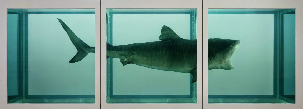 Damien Hirst e a arte de fazer milhões com a arte 1 damien hirst shark